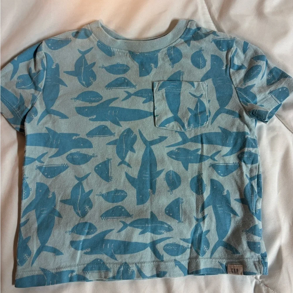 Set 3 Blue, Gray, and White Kids Tees Set- sharks, and palm trees size 18-24 m